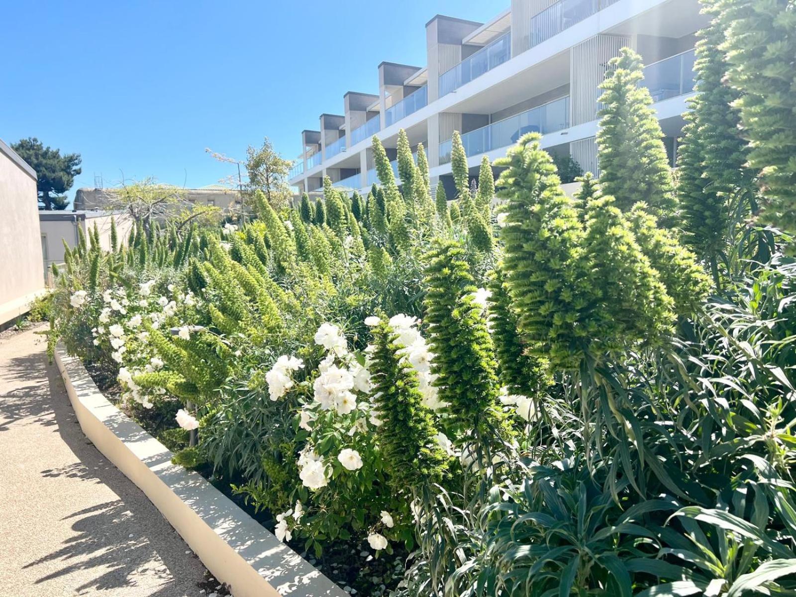 Panoramic Sea View Appartment Blue Pearl Nice Exterior foto